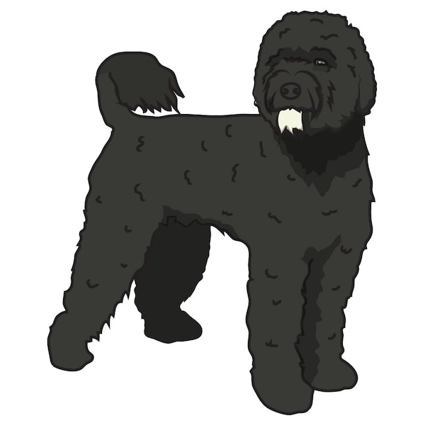 Signmission Portuguese Water Dog Dog Decal, Dog Lover Decor Vinyl Sticker D-12-Portuguese Water Dog - main
